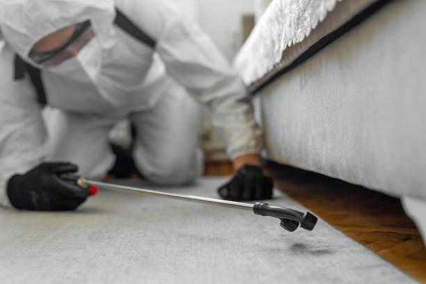 Professional Termite Control technician working in Winfield, IN